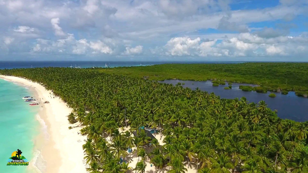 Saona Island Tour from Punta Cana - Natural Pool Excursion - Image 10
