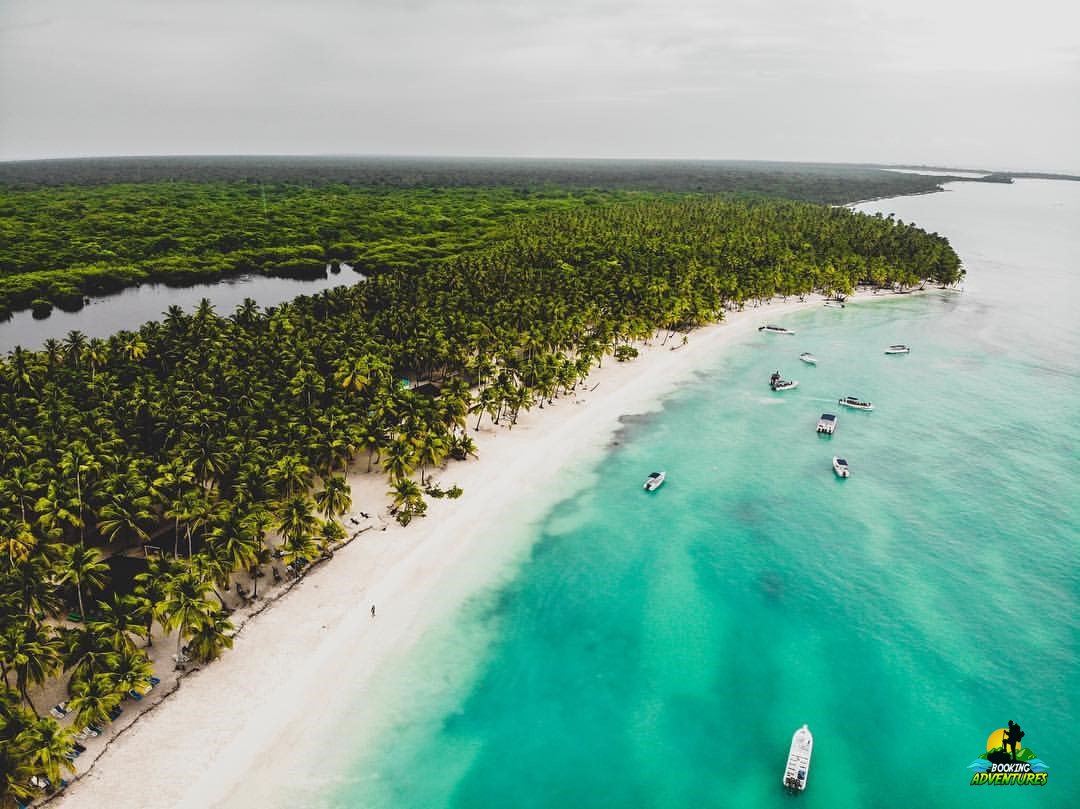 Saona Island Tour from Punta Cana - Natural Pool Excursion - Image 12
