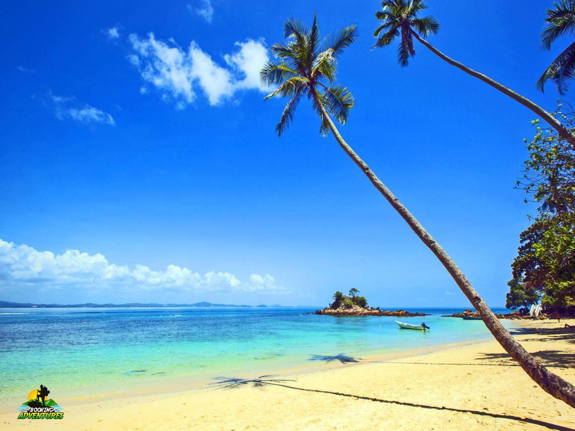 Saona Island Tour from Punta Cana - Natural Pool Excursion - Image 13