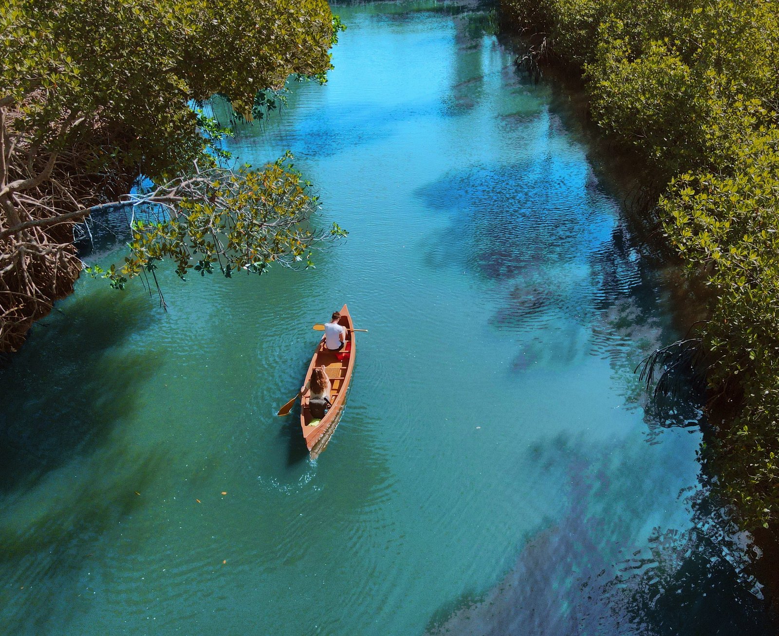 Mountain Bikes + Taino’s Canoe Los Haitises - Image 4