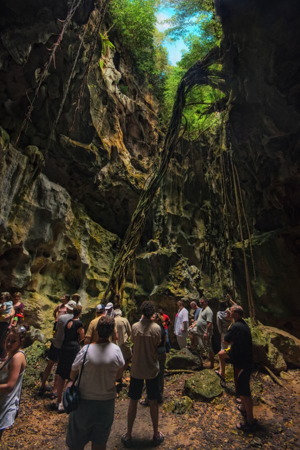dominican republic los haitises cave hole booking adventures