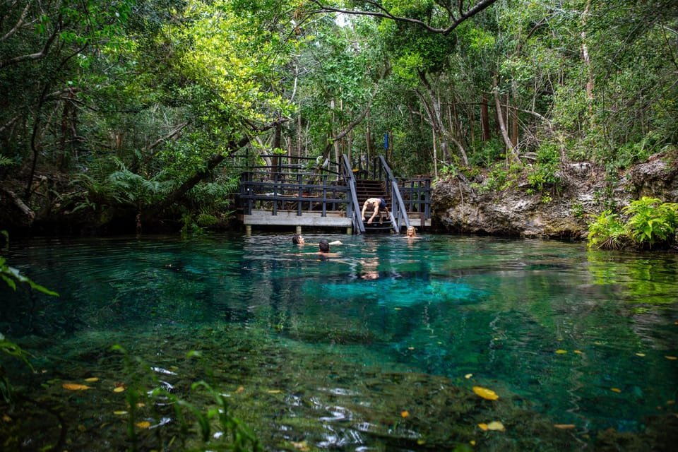 Swim in the Cenotes Ojos Indígenas - Image 2