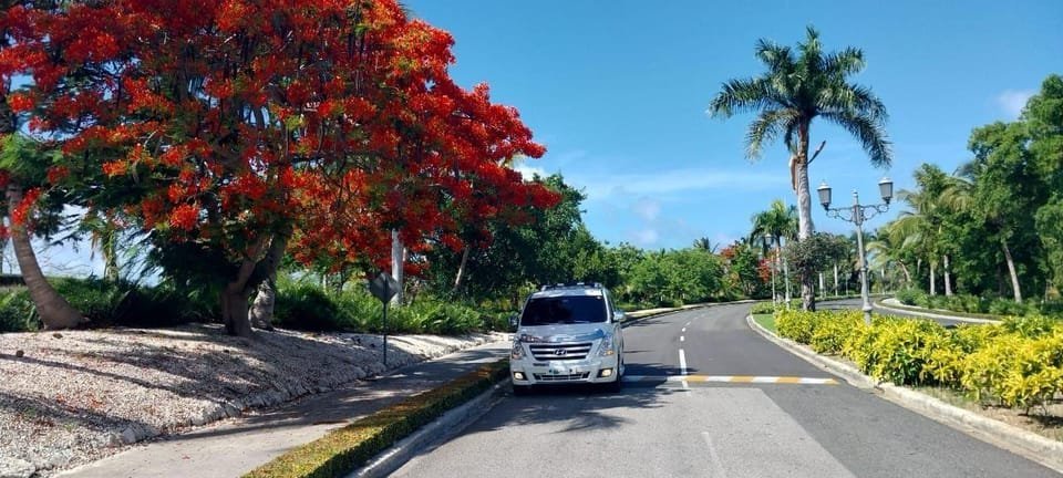 Private Transfer from SDQ to Iberostar Dominicana - Billede 3