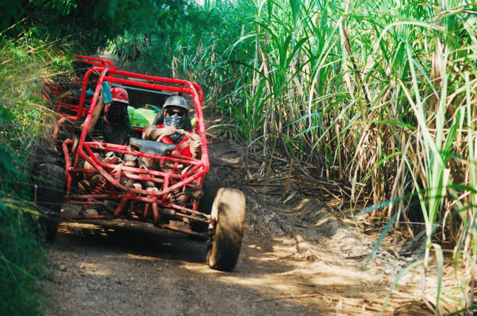 From Bayahibe: Half-day La Romana ATV or 4X4 Buggy Tour - Image 23