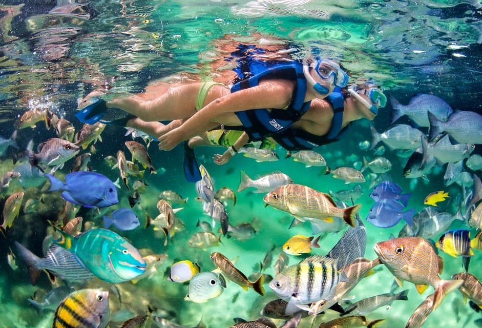 Speed Boat Adventure In Punta Cana - Image 4
