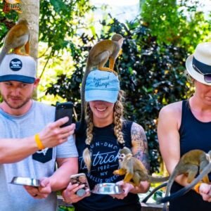 From Punta Cana: Jungle Buggy Ride & Monkeyland Guided Tour