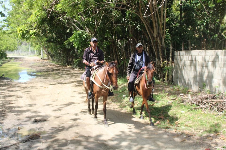 Beach horse back riding and countryside - Image 5