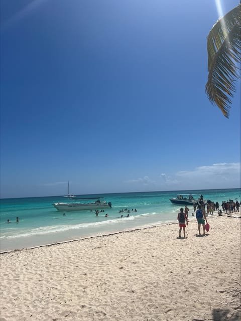 Saona Island - Paradise in the Caribbean - Image 5