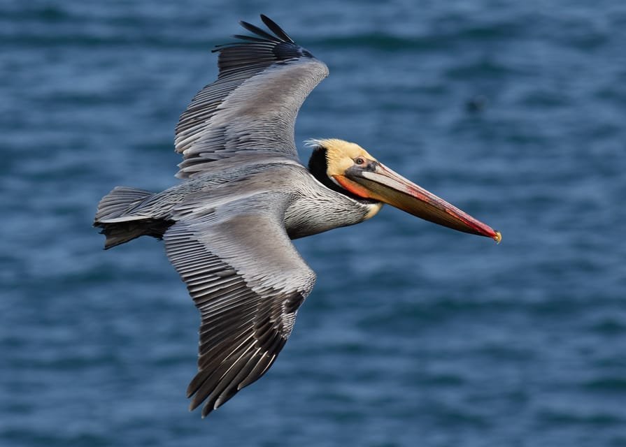 From Punta Cana: Los Haitises & Caño Hondo Private Boat Tour - Image 4