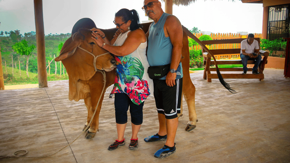 Punta cana: 3 tour zip line, buggy and horse ride. - Image 5