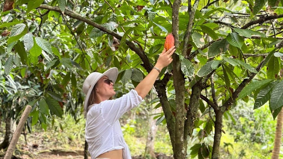 Jungle Eco Tour - Image 7