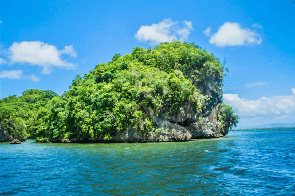 Los Haitises Boat Ride + Caño Hondo Natural Pools - Image 10