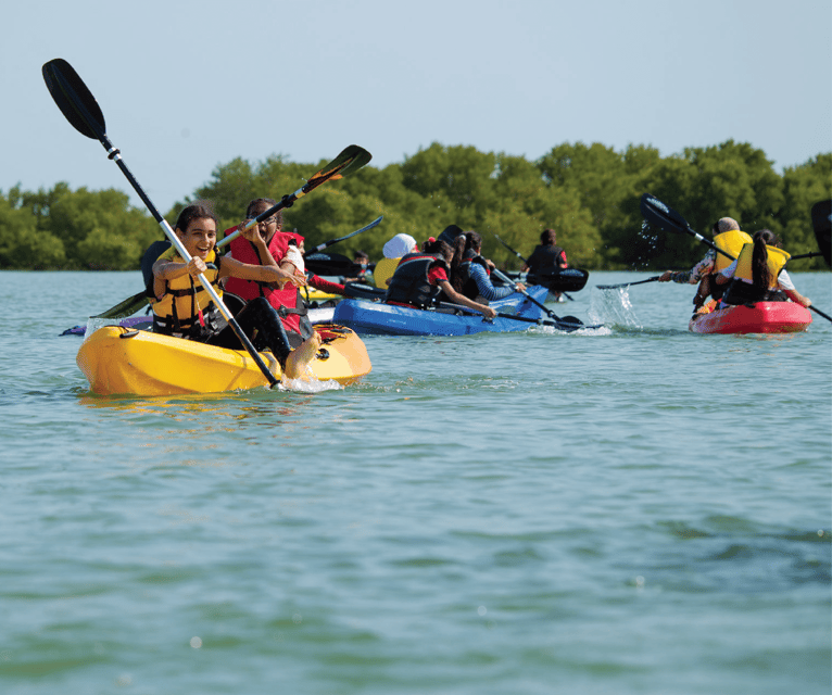 Los Haitises Kayak & Caño Hondo Pools – Private Tour From Miches - Image 3