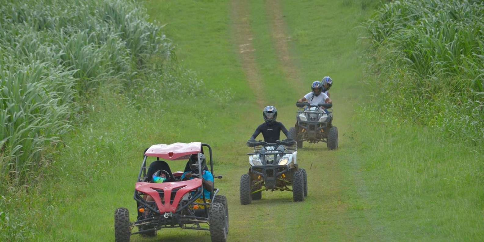 Full day buggy Safari with lunch and Chavon River Tour - Image 2