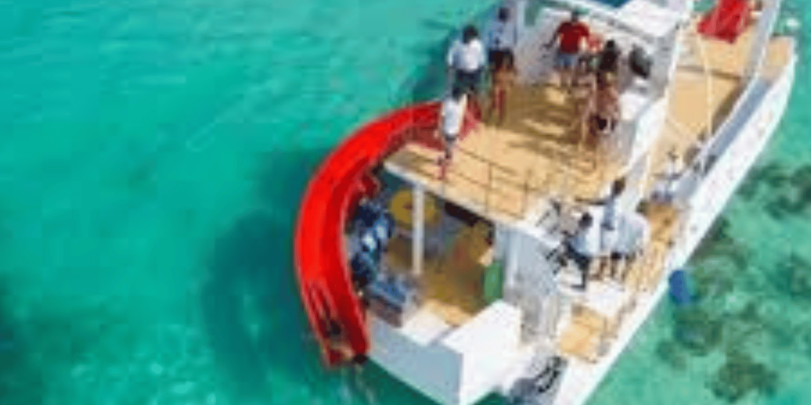 Punta Cana :Catamaran with Open Bar and Dolphin and Stingray Watching - Image 3