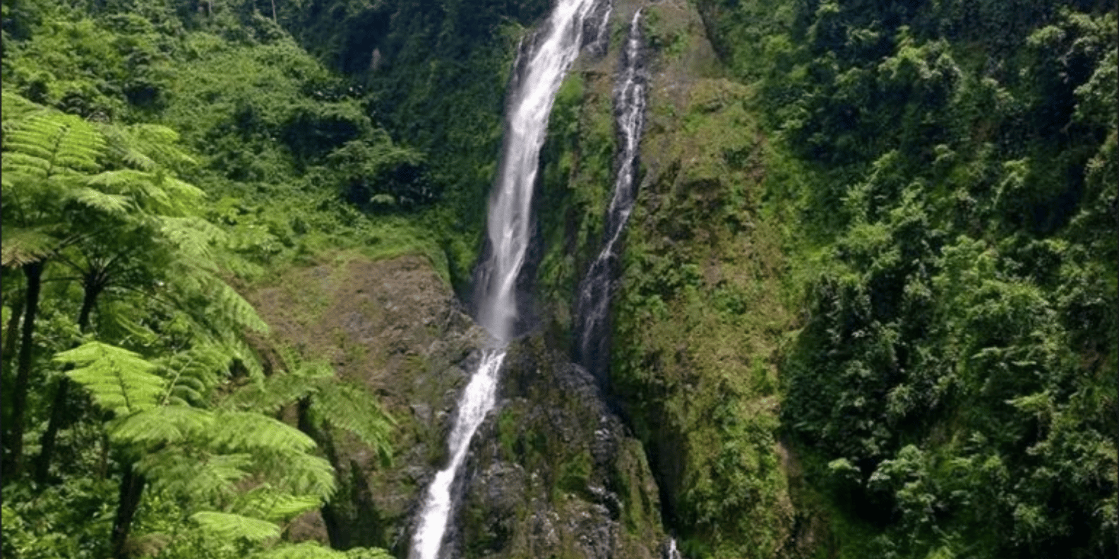 Salto de la Jalda – Horseback & Hiking Adventure From Miches - Billede 4