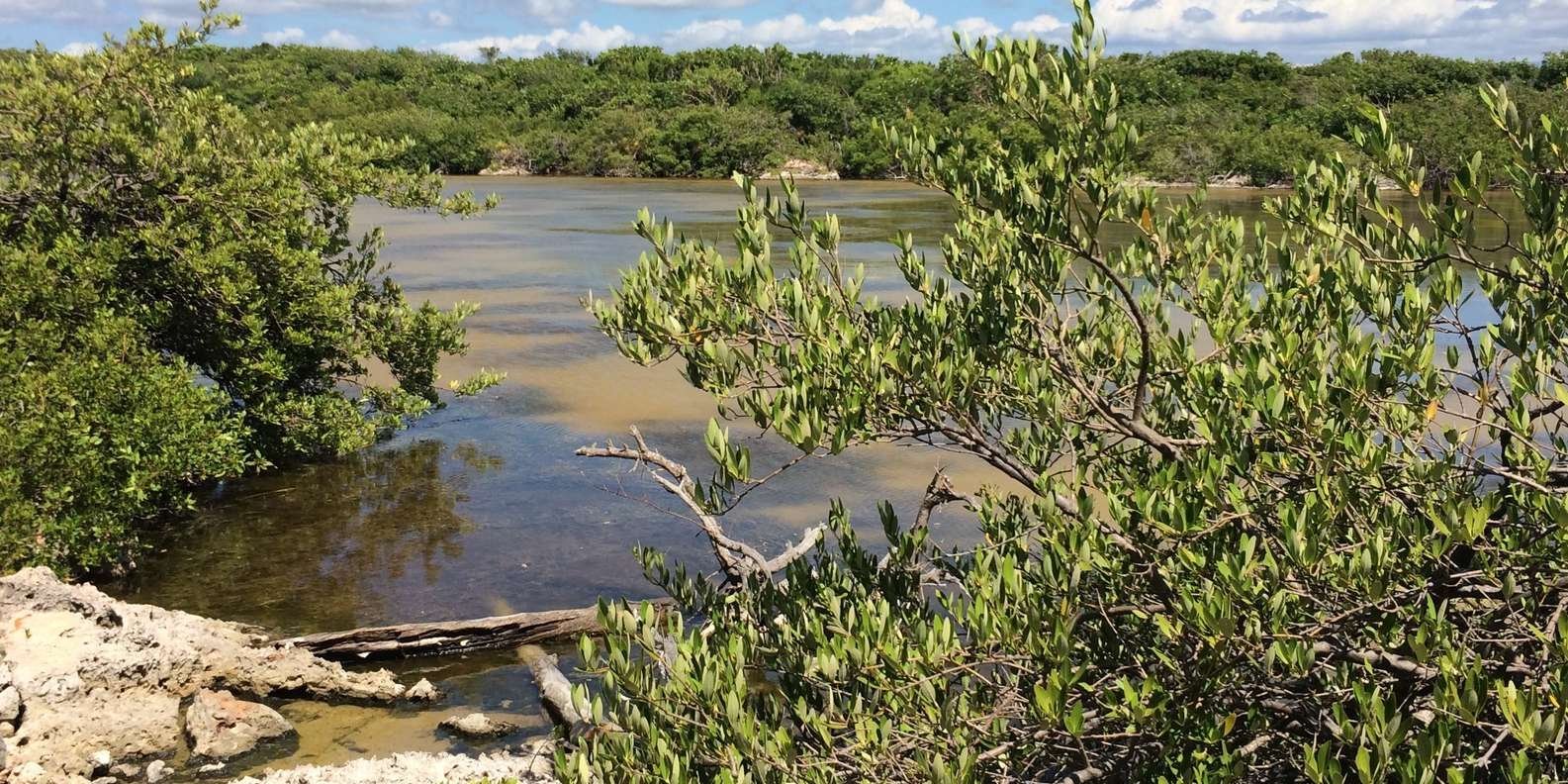 Jaragua National Park: Explore Laguna de Oviedo - Image 4