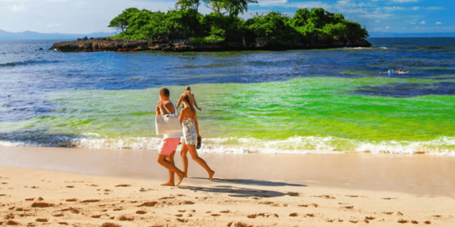 Samaná: Cayo Levantado, Isla Bacardí y la Magnífica Cascada - Image 5
