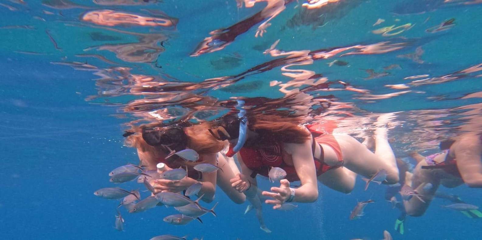 Sosua Sunset party boat And Snorkeling - Image 4