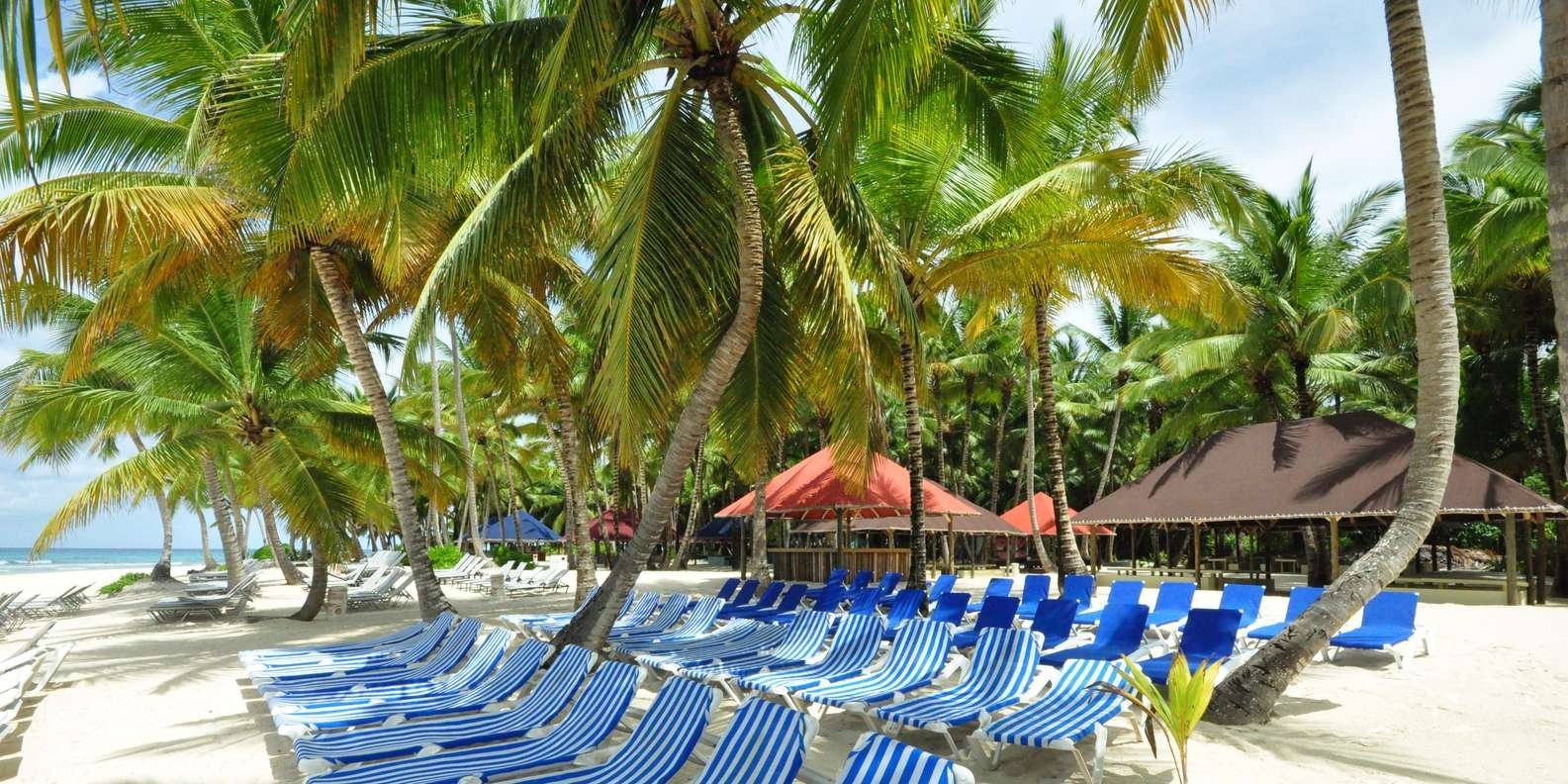 Saona Island Excursion from Punta Cana - Image 7