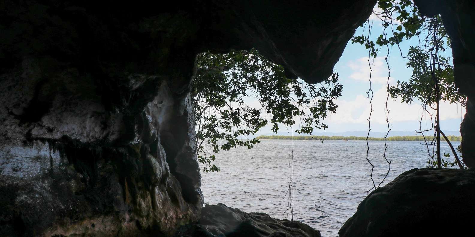 From Punta Cana: Los Haitises and Redonda Mountain Day Trip - Billede 11